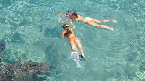 Snorkelling