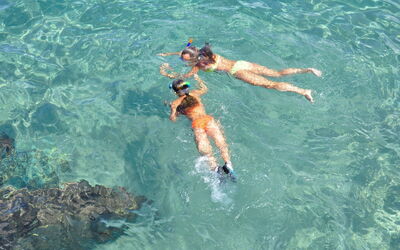 Snorkelling
