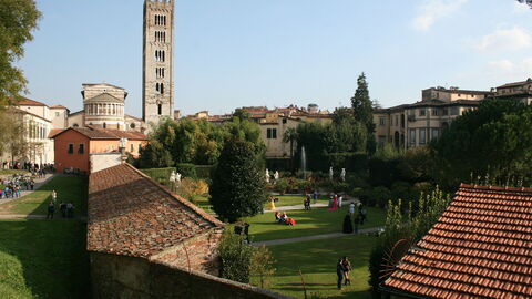 View of Lucca from Walls