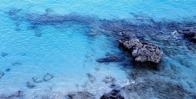 Sea