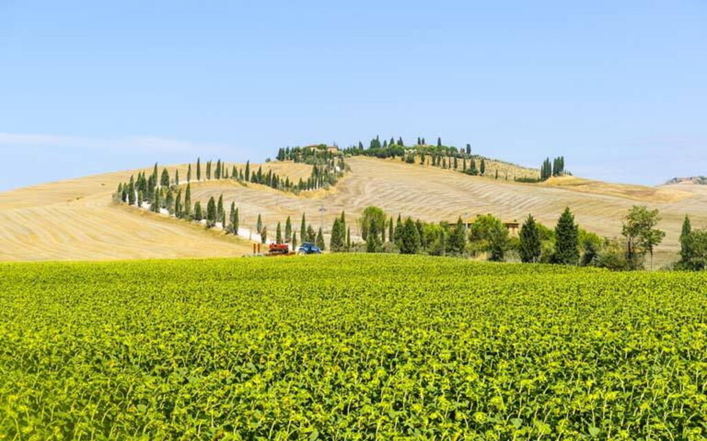 Toscaanse platteland