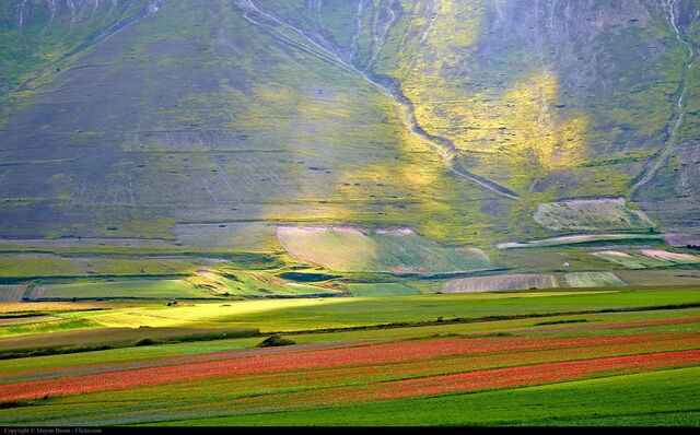 Piani di Castelluccio, sunlight