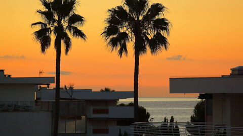 View from Secret Garden
