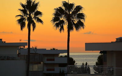 View from Secret Garden