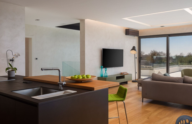 Old Olive I, living space
