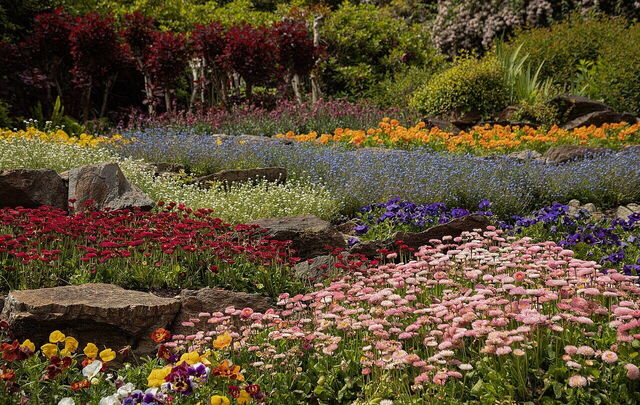 Flowers at Villa Carlotta