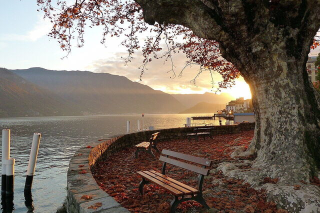 Villa Carlotta, lakeside
