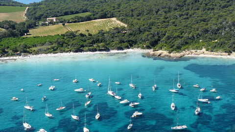 Boats in the sea at Porquerolles
