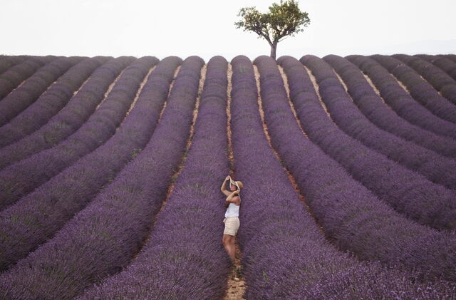 Exploring lavender fields