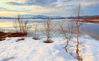 Vacation Rentals In Norrbotten