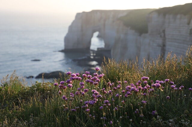 Coastal views in Normandy