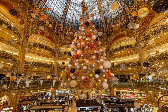 Paris at Christmas