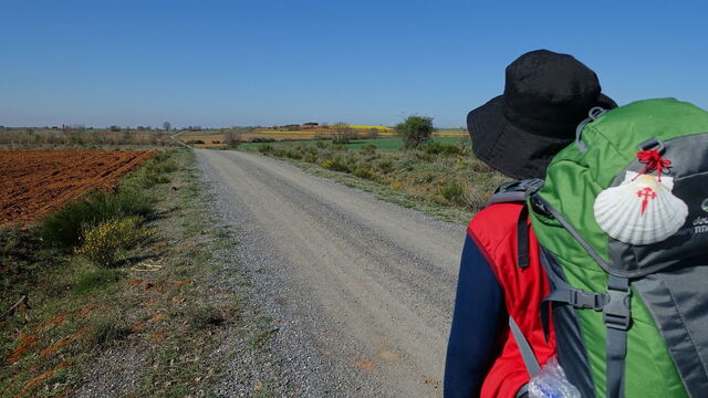 Hiking