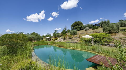 Aqua Bio Retreat, pool