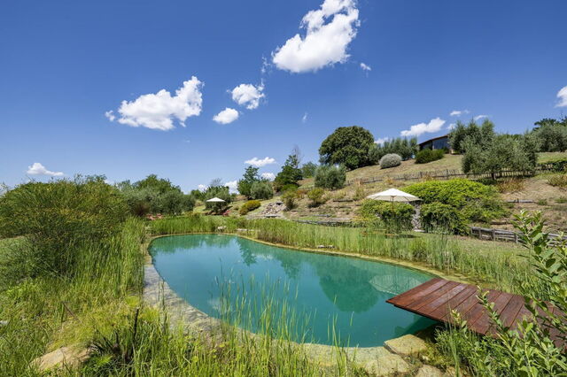 Aqua Bio Retreat, pool