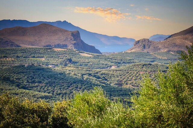 Landscape in Crete