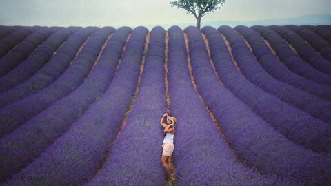 Exploring lavender fields