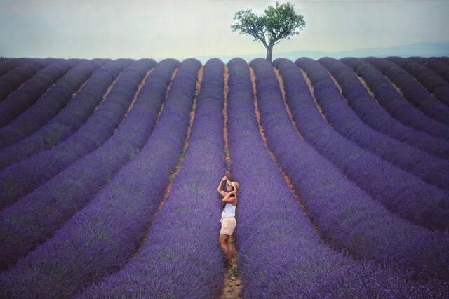 Exploring lavender fields