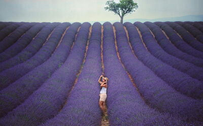 Exploring lavender fields