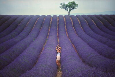 Exploring lavender fields