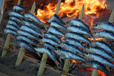 Grilled sardines, Andalusia