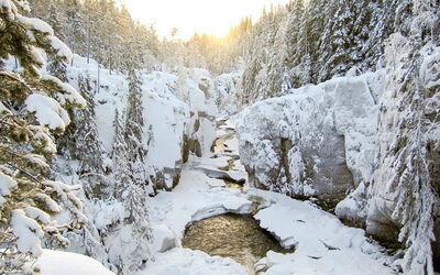 Vacation Rentals In Dalarna