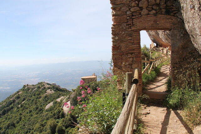 View