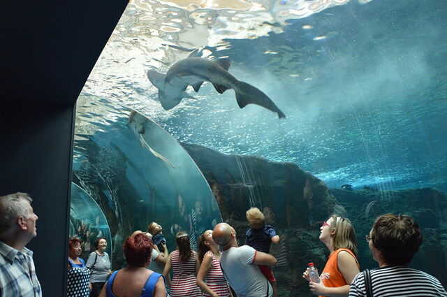 CretAquarium