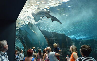 CretAquarium