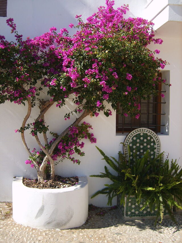Pretty views in the streets of Altea