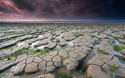 Vacation Rentals In Friesland