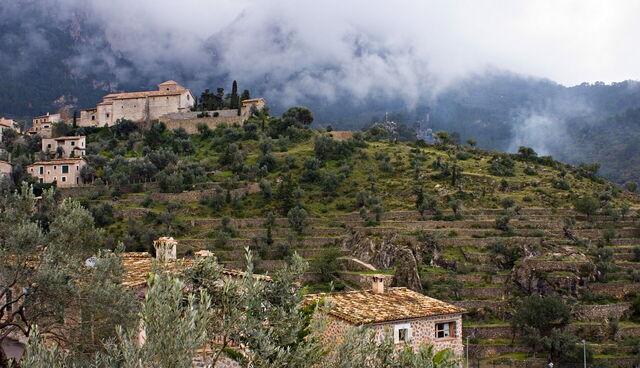 Misty Mallorca