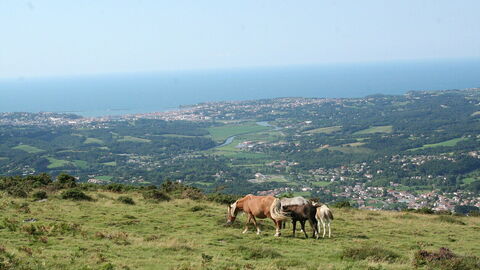 View over Saint-Jean-de-Luz