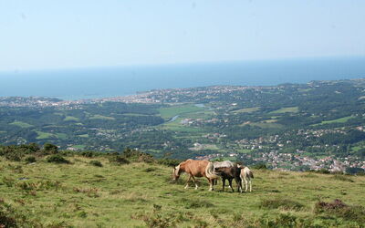 View over Saint-Jean-de-Luz