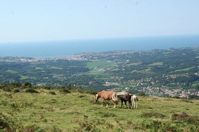 View over Saint-Jean-de-Luz