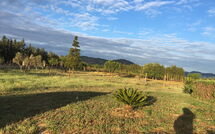 Photo submitted by guest of Can Barbara