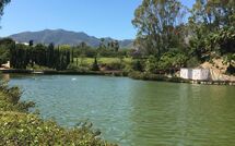 Photo submitted by guest of Benalmádena Costa 121