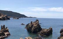 Photo submitted by guest of Villa Borgo dei Fiori Ginepro