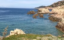 Photo submitted by guest of Villa Borgo dei Fiori Ginepro