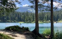 Photo submitted by guest of Suite 07-03