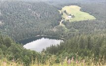 Photo submitted by guest of Hallenbadweg