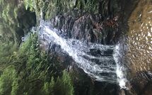 Photo submitted by guest of Hallenbadweg