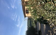 Photo submitted by guest of Montegufoni