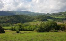 Photo submitted by guest of Villa San Lorenzo