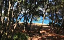 Photo submitted by guest of Labin 767