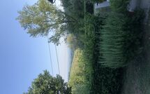 Photo submitted by guest of Magrini