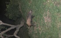 Photo submitted by guest of Cà di Mott