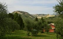 Photo submitted by guest of Val di Coreto