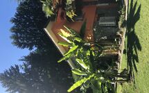 Photo submitted by guest of Castro 150