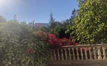 Photo submitted by guest of Son Real